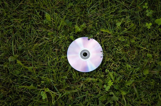 cd on the green grass