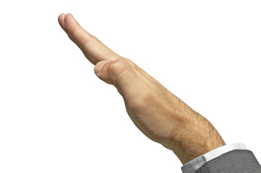 hand on the white background