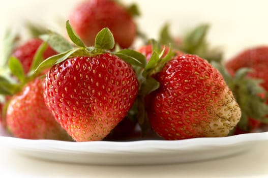 fresh red strawberries(focus point on the nearest berry,special soft f/x)