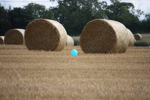 Bales in a field