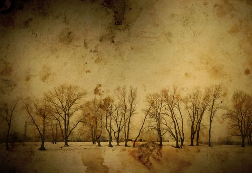 old background(special warm f/x and dark vignetting) and trees