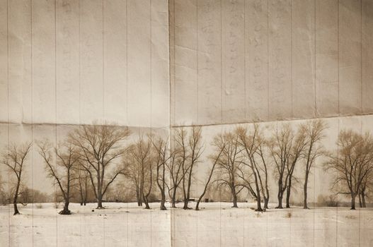 special sepia toned photo f/x with dark vignetting, made from my images