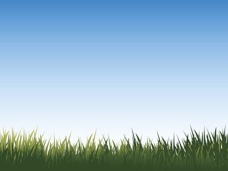 medow with fresh green grass and pure blue sky for your design and art work