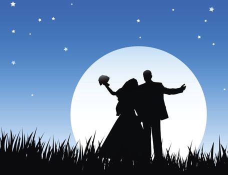 bride and bridegroom in wedding night on the sky background with night