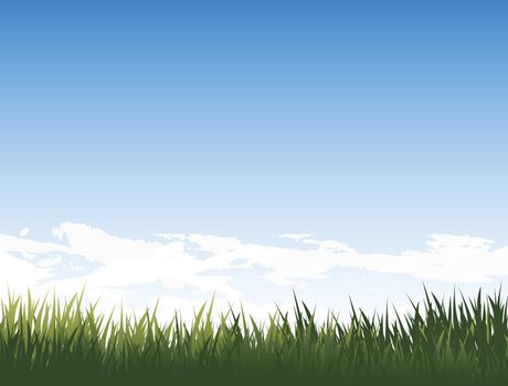 medow with fresh green grass and pure blue sky and clouds for your design and art work