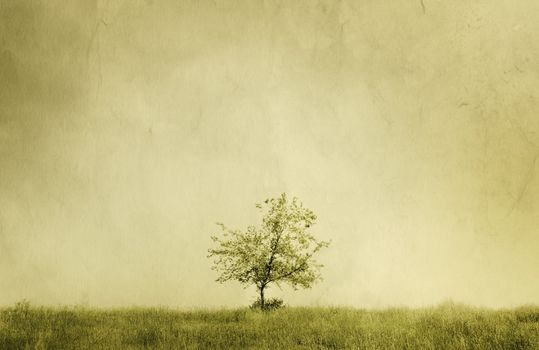 special sepia toned vintage f/x, textured with old paper