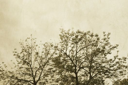 special sepia toned vintage f/x, textured with old paper
