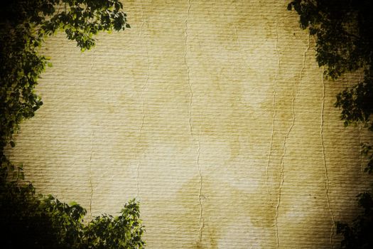toned background with nature elements for your design