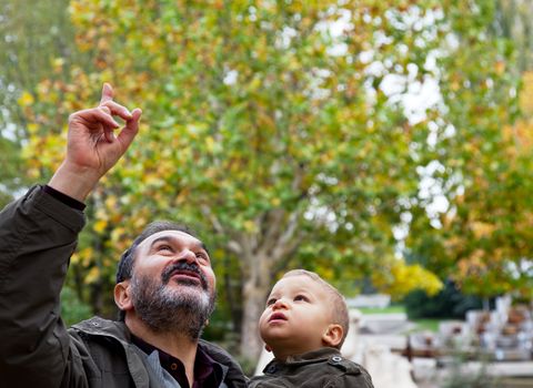 grandfather holding a child in a park is pointing up