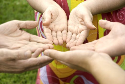 hands of the family (focus on hands of woman(selective))