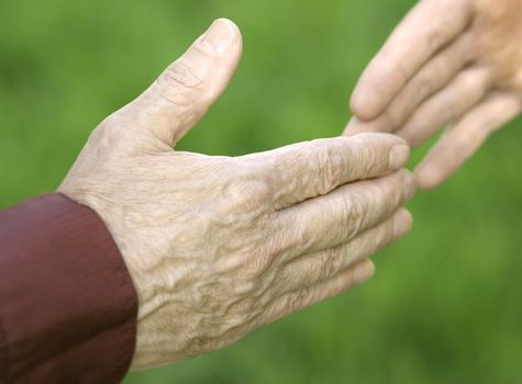 hands of the people on grass background (focus point on nearest man (selective))