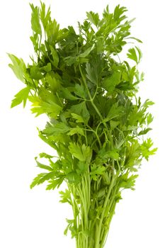 a bunch of parsley isolated on white