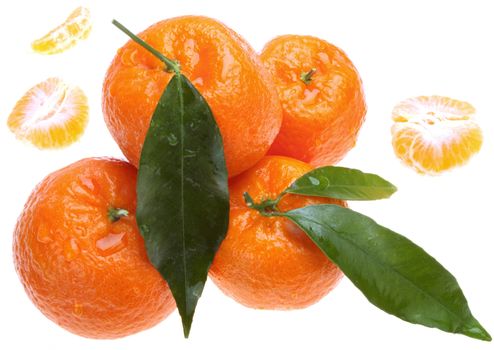 Juicy tangerines. isolated on white background.