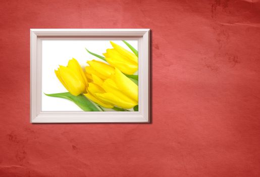 made from my images and photos, special toned
