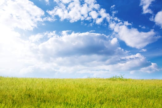special toned, focus point on nearest part of grass