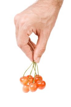 isolated hand of man with red berry on white background
