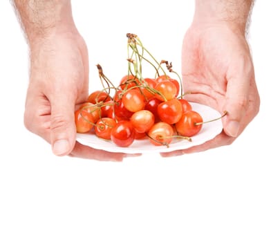 diet concept with hands of man and cherry isolated on white background