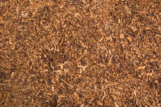 Loose cuts of dried tobacco form golden background texture 