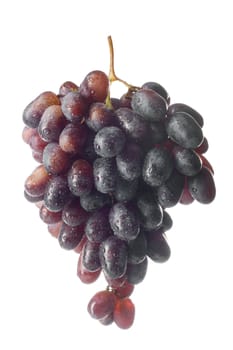 Cluster of a dark blue grapes on a white background