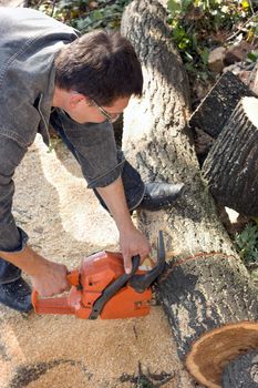 The man, sawing old dry trees a petrol saw