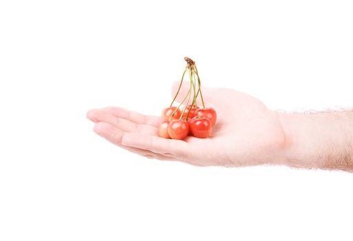 isolated hand of man with red berry on white background