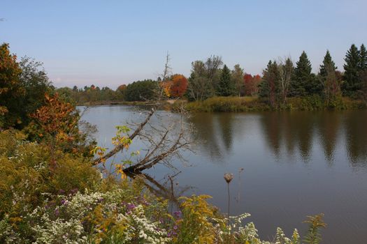 early fall colours on lake in morning sunlight
