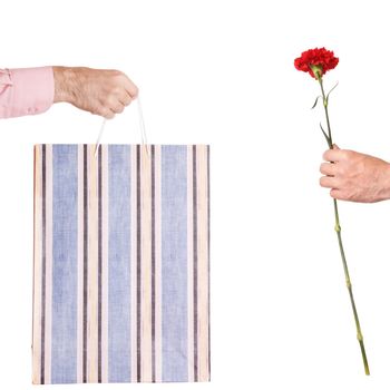 hands with present and red flower  isolated on white background