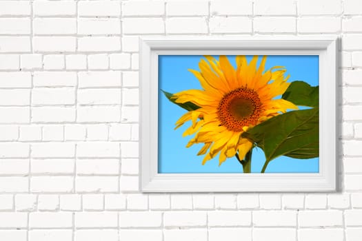 image on white wall, made from my images and photos