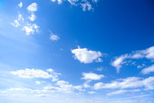 nature background, great for your design and art work
