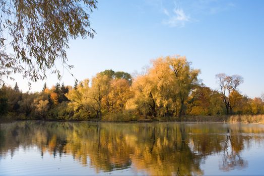 special toned photo f/x, selective focus on water and trees