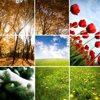 nature concept made from my images special toned photo f/x