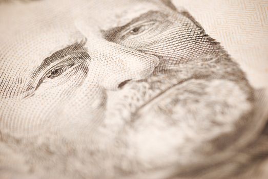 dollar closeup ,selective focus on eye toned