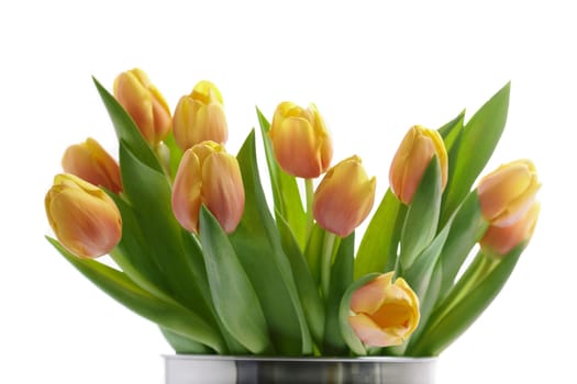 fresh flowers with metal tub, selective focus on nearest