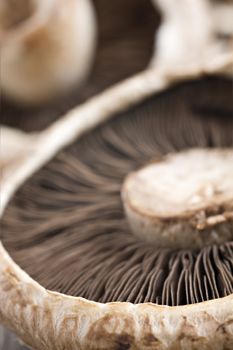 Healthy fresh mushrooms with very shallow depth of field