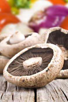 Healthy fresh mushrooms with very shallow depth of field