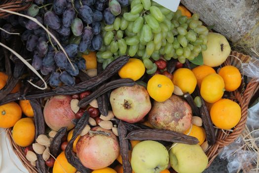 Autumn Harvest