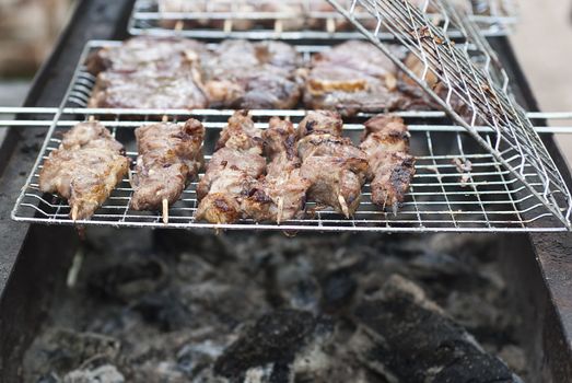 Meat on a grill. Outdoor picnic. Close-up.