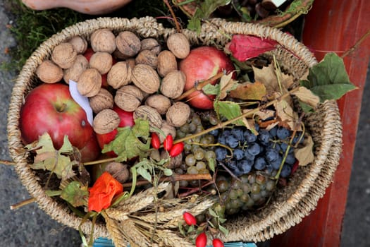 Autumn Harvest