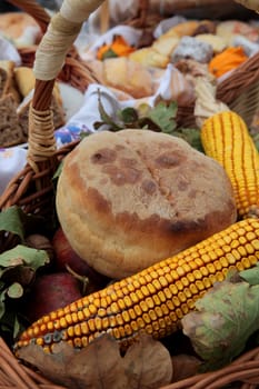 Autumn Harvest