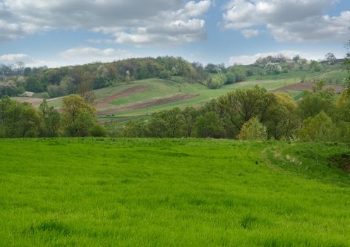 Green hills