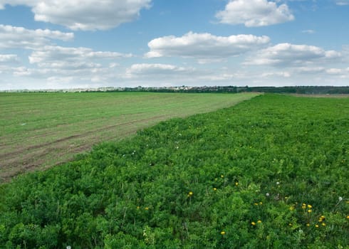 Field and sky with clouds