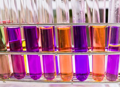 Test tubes sit in rack on a bench