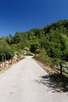 	country roadbetween trees under a bright blue sky