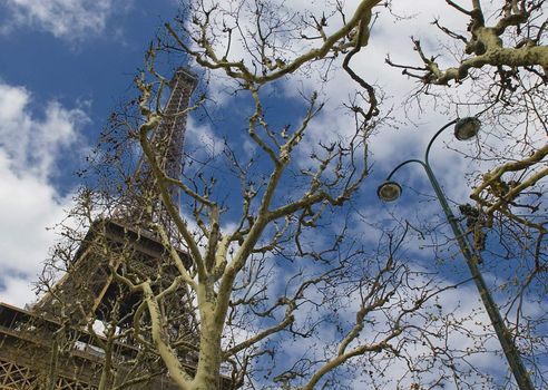 View to Eiffel tower throrhg leafless trees