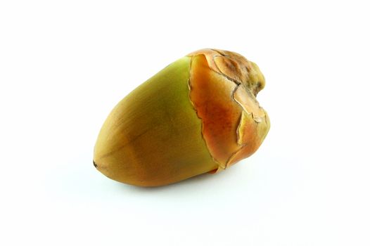 Young coconut fruit on white background.