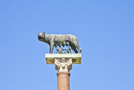 Romulus and Remus are Rome's twin founders in its traditional foundation myth