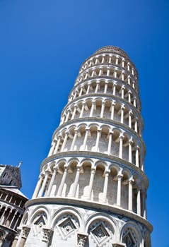 Italy - Pisa. The famous leaning tower on a perfect blue bakcground