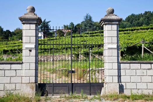 Tuscany, Italy. Italian luxury villa in the country, close to a Lambrusco vineyard