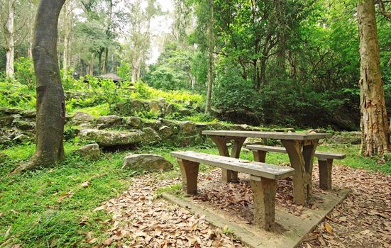 Picnic place in forest 