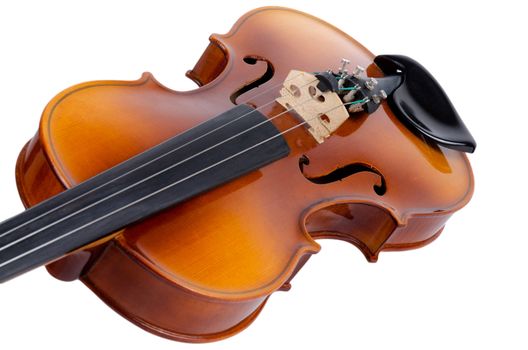Violin close up isolated on white background.
